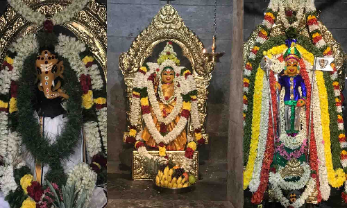 பலவஞ்சிபாளையம் ஸ்ரீ காளிகுமாரசுவாமி கோவிலில் பொங்கல் விழா