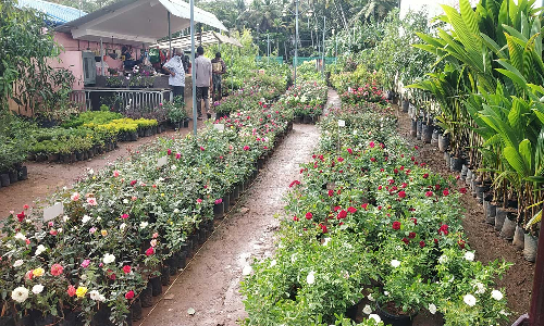 குழித்துறையில் 97-வது வாவுபலி பொருட்காட்சி