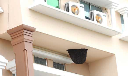 நாமக்கல் கலெக்டர் அலுவலகத்தில் ராட்சத தேன்கூடு