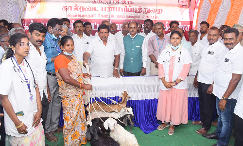 முதல்-அமைச்சர் ஸ்டாலின் ஆலோசனைப்படி  1089 மருத்துவர்கள் நியமிக்கப்பட்டு கால்நடைத்துறை சிறப்பாக செயல்படுகிறது -அமைச்சர் அனிதா ராதாகிருஷ்ணன் பேச்சு