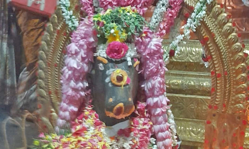 தியாகதுருகம் சுற்று வட்டார பகுதிகளில் பிரதோஷ சிறப்பு வழிபாடு