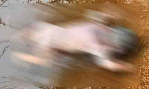 நெல்லை அருகே குளத்தில் பிணமாக கிடந்த பச்சிளம் குழந்தை உடல் மீட்பு-   சி.சி.டி.வி. காட்சி மூலம் போலீசார் விசாரணை