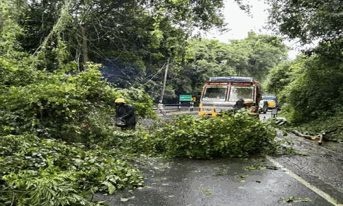 நீலகிரியில் சாலைகளில் விழுந்த மரங்களை இரவோடு இரவாக அப்புறப்படுத்திய தீயணைப்பு வீரர்கள்