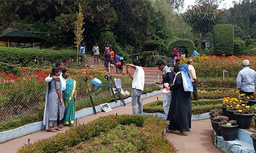 கொடைக்கானலில் கோடை சீசன் முடிந்தும் பூங்காவில் பூத்துகுலுங்கும் வண்ணமலர்கள் சுற்றுலா பயணிகள் உற்சாகம்