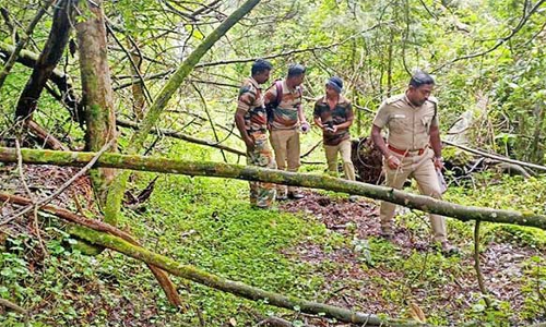 கொடைக்கானலில் வன விலங்குகள் கணக்கெடுப்பு முதற்கட்ட பணி நிறைவு