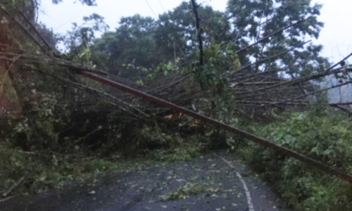 கூடலூரில் 18 செ.மீ. மழை கொட்டி தீர்த்தது- மரங்கள் முறிந்து போக்குவரத்து பாதிப்பு