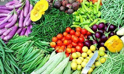 சேலம் மத்திய சிறை கைதிகள் மூலம் தினமும் 4 டன் காய்கறிகள் உற்பத்தி