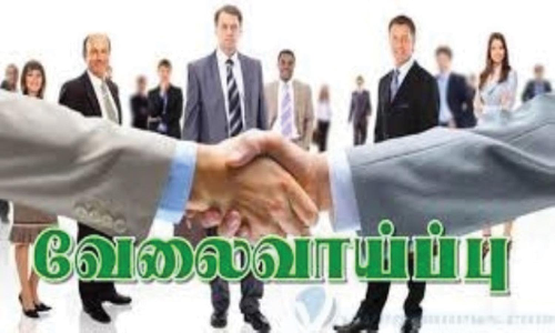 தனியார் துறை வேலைவாய்ப்பு முகாமில் பணி நியமன ஆணை