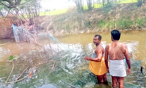 ஆற்றின் குறுக்கே கட்டப்பட்டிருந்த மீன்பிடி வலைகள் அகற்றம்