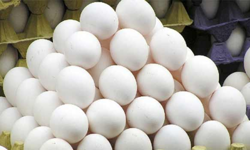 முட்டை விலை மேலும் 30 காசுகள் குறைந்தது