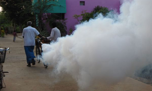 கொசு மருந்து தெளிக்கும் பணி தீவிரம்