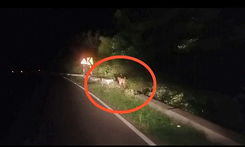 திம்பம் மலைப்பாதையில் வாகன ஓட்டிகள் கவனமாக செல்ல வேண்டும்