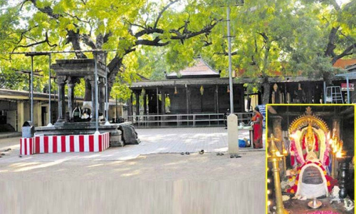 ஏரல் சேர்மன் அருணாசலசாமி கோவில் ஆடி அமாவாசை திருவிழா