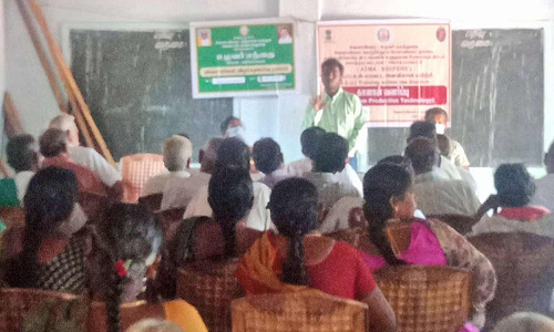 விவசாயிகளுக்கு காளான் வளர்ப்பு தொழில்நுட்ப பயிற்சி