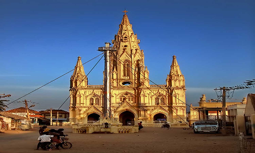 கன்னியாகுமரியில் கிறிஸ்தவ ஆலயத்துக்குள் புகுந்த விஷபாம்பு