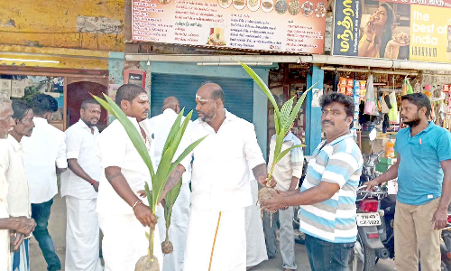 காமராஜர் பிறந்தநாளையொட்டி தென்னங்கன்றுகள் வழங்கல்