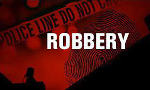 பாளையில் நர்சு வீட்டில் 20 பவுன் நகை கொள்ளை