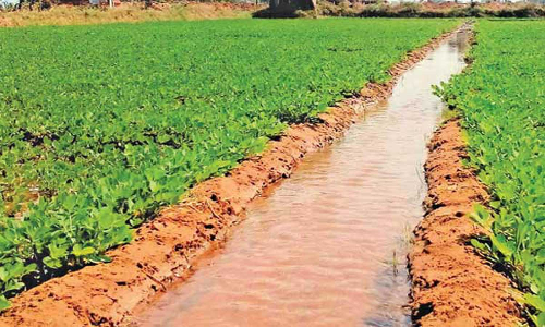 குமரி மாவட்டத்தில் சூரிய சக்தியால் இயங்கும் பம்புசெட்டுகள்