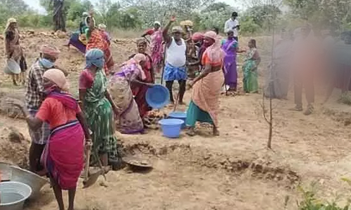 பண்ணைகுட்டை பணிகளை கலெக்டர் ஆய்வு