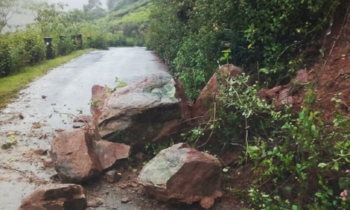 நீலகிரியில் கனமழை: 20-க்கும் மேற்பட்ட இடங்களில் மண்சரிவு