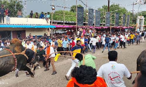 காவேரிபட்டினத்தில்   ஸ்ரீ மாரியம்மன், சாமுண்டி அம்மன்கோவில் விழாவில் மாடு விடுவதில் தகராறு