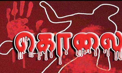 கடையம் அருகே காட்டுப்பகுதியில் மூதாட்டி அடித்து கொலை