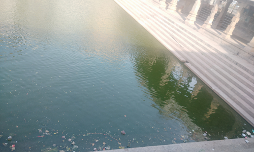 கடலூர் பாடலீஸ்வரர் கோவில் தெப்பகுளத்தில் குப்பைகளை வீசுவதால்  மாசு ஏற்படும் அவலம்