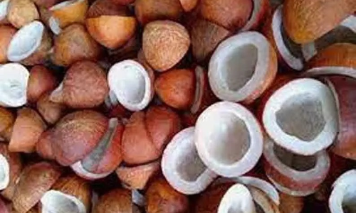 அன்னூர் மையத்தில் 40 நாட்களில் ரூ.5 கோடிக்கு கொப்பரை கொள்முதல்