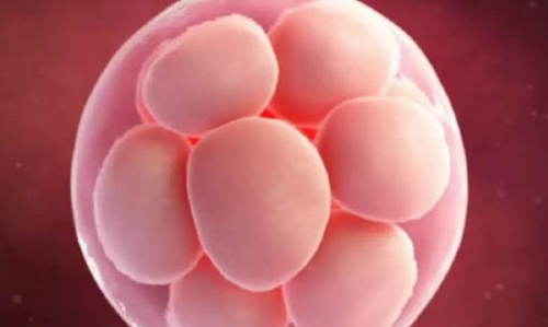 சிறுமி கருமுட்டை விற்பனை விவகாரத்தில்  ஒசூர் தனியார் மருத்துவமனை   ஸ்கேன் சென்டருக்கு சீல் வைப்பு