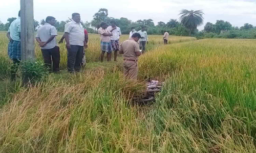 ஆற்காடு அருகே விடுதலை சிறுத்தை பிரமுகர் வெட்டி கொலை