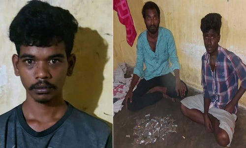 வீடு வாடகைக்கு எடுத்து கஞ்சா விற்ற 3 பேர் கைது