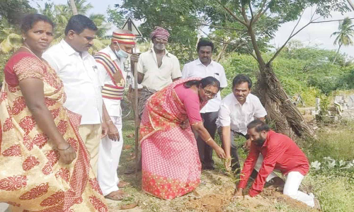 கடந்த 6 மாதத்தில் அம்பலூர் ஊராட்சியில் 5 ஆயிரம் மரக்கன்றுகள் நடப்பட்டது