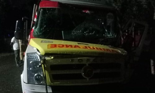 108 ஆம்புலன்ஸ் மரத்தில் மோதி மருத்துவ உதவியாளர் பலி- கர்ப்பிணி உள்பட 3 பேர் படுகாயம்