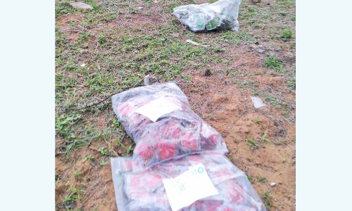 மாமல்லபுரத்தில் சாலையோரத்தில் குவியலாக வீசப்பட்ட காலாவதியான மிட்டாய் பாக்கெட்டுகள்