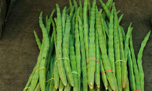 வெள்ளகோவிலில் 30 டன் முருங்கைக்காய் வரத்து