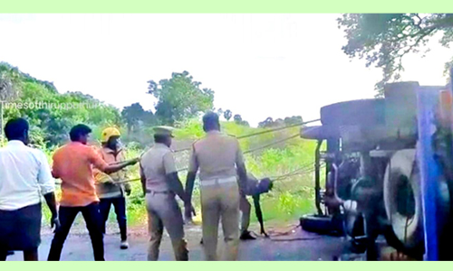 சரக்கு வாகனம் கவிழ்ந்து விபத்து