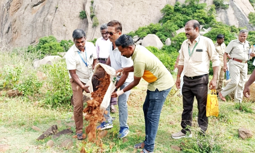 மலையில் சாராய வேட்டை நடத்திய கலெக்டர் மீது கல்லை உருட்டி விட்டு தப்பிய கும்பல்