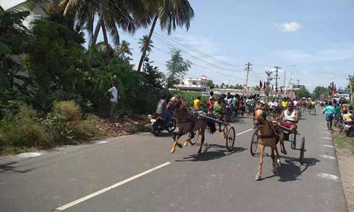 ரேக்ளா பந்தயம் சீறிப்பாய்ந்த குதிரைகள்