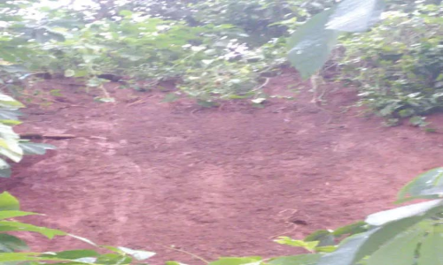 சேரம்பாடியில் மண்சரிந்து ஓட்டல் சேதம்