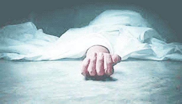 மின்சாரம் தாக்கி வடமாநில வாலிபர் பலி மின்சாரம் தாக்கி வடமாநில வாலிபர் பலி