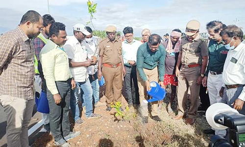 தேசிய நெடுஞ்சாலை ஆணையம் சார்பில் மரக்கன்று நடும் விழா