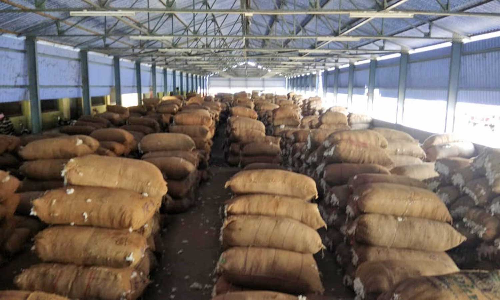 ரூ.3 கோடிக்கு பருத்தி ஏலம்