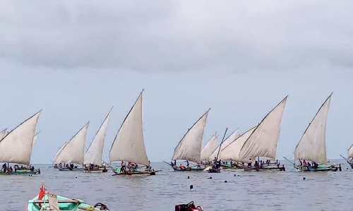 கோவில் திருவிழாவை முன்னிட்டு பாய்மர படகு போட்டி
