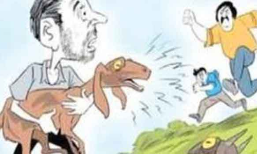 காரில் வந்து ஆடு திருடிய கும்பல்