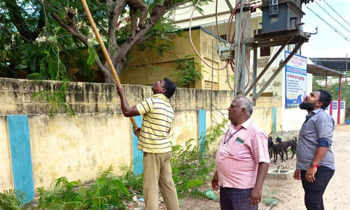 உடன்குடி பகுதியில் மின் கம்பிக்கு இடையூறான மரக்கிளைகள் அகற்றம்