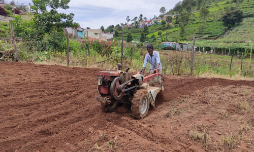 கோத்தகிரியில்   இயற்கை உரத்தால் மலை காய்கறிகள் அதிக விளைச்சல்