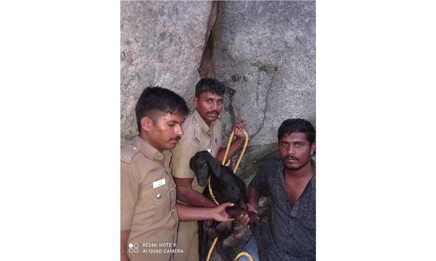 பர்கூர் அருகே 500 அடி உயர மலை இடுக்கில் சிக்கிய ஆட்டுக்குட்டி உயிருடன் மீட்பு பர்கூர் அருகே 500 அடி உயர மலை இடுக்கில் சிக்கிய ஆட்டுக்குட்டி உயிருடன் மீட்பு