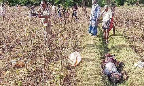 தோட்டத்தில் அமைத்திருந்த மின்வேலியை மிதித்த விவசாயி மின்சாரம் தாக்கி பலி