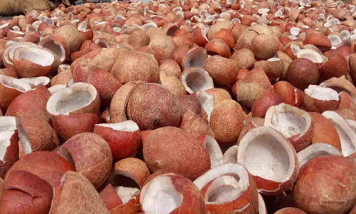 அனைத்து இடங்களிலும் கொப்பரை கொள்முதல் நிலையம் திறக்க கோரிக்கை