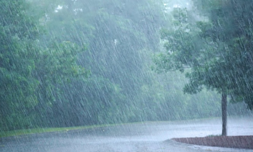 பரவலாக பெய்த மழையால் விவசாய பணிகள் தீவிரம்